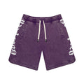 Godspeed CourtSide Shorts Trauben-Waschung
