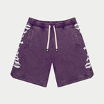 Godspeed CourtSide Shorts Grape Wash - Image 4