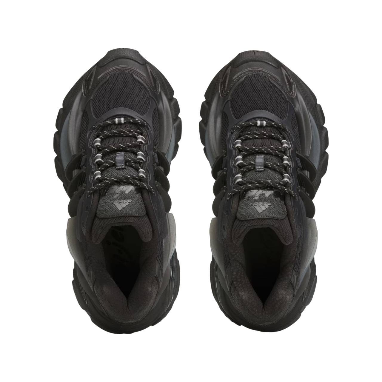 Pair of black sneakers on a white background